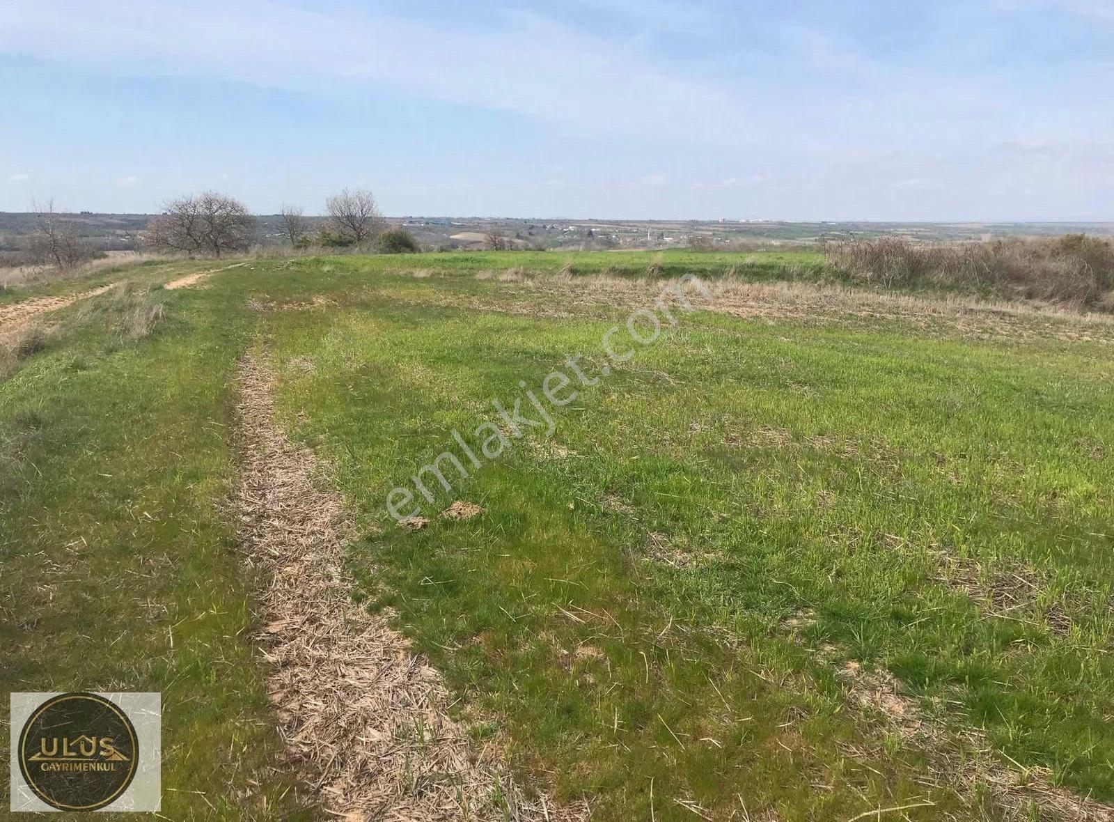 Kırklareli Babaeski Yeniköyde 1400 M2 Bağ Tapulu Satılık Tarla - Görsel 2