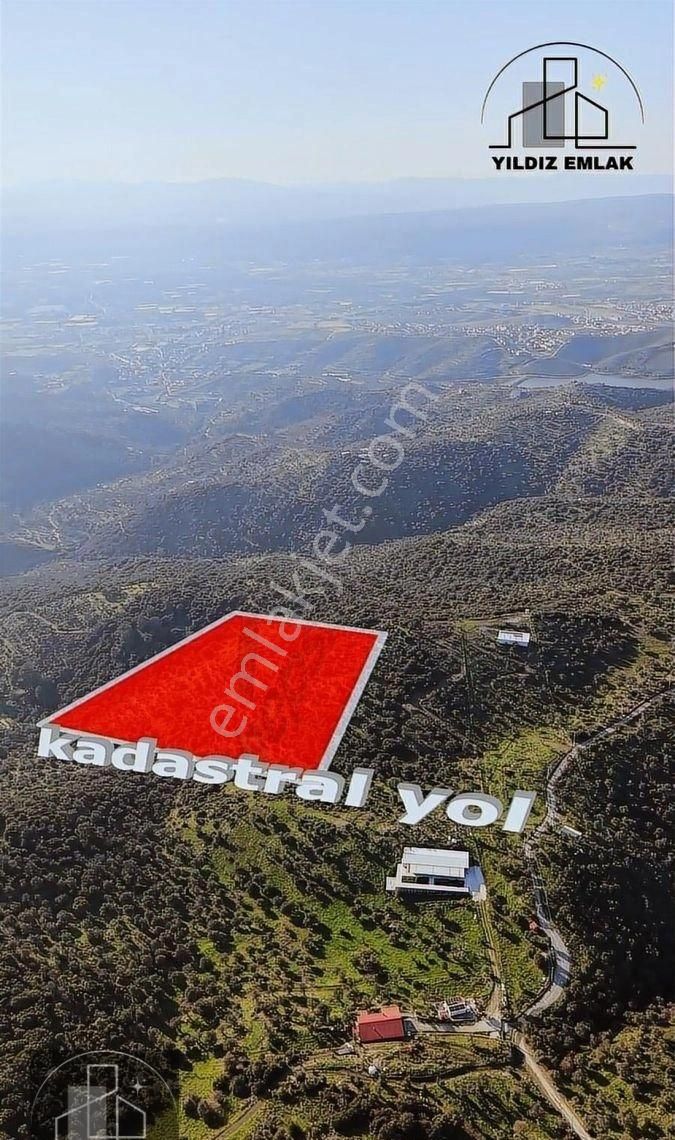 İzmir Seferihisar Ulamış Mahallesinde 19.542m² Satılık Zeytinlik - Görsel 16