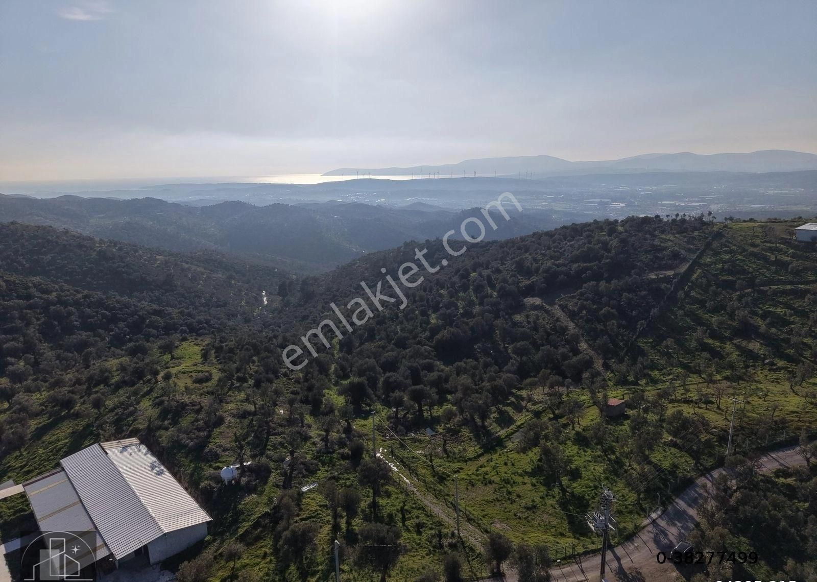 İzmir Seferihisar Ulamış Mahallesinde 19.542m² Satılık Zeytinlik - Görsel 5