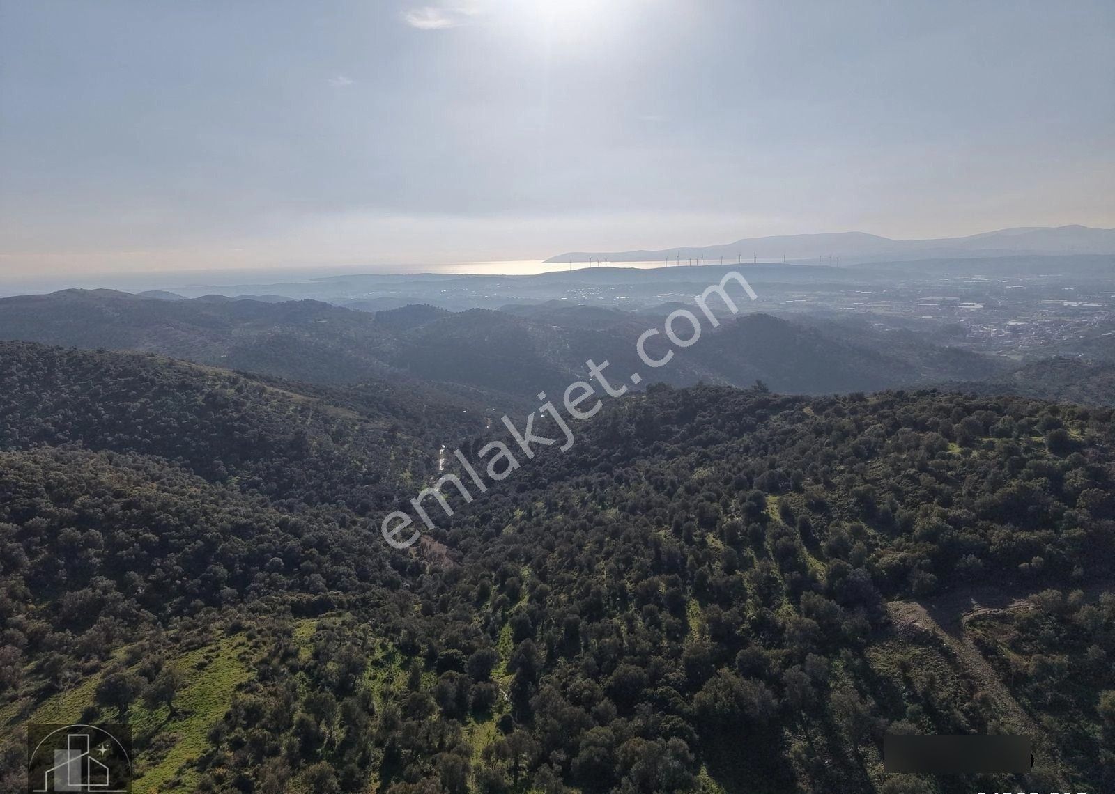 İzmir Seferihisar Ulamış Mahallesinde 19.542m² Satılık Zeytinlik - Görsel 8