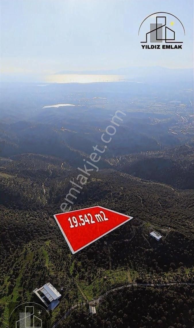 İzmir Seferihisar Ulamış Mahallesinde 19.542m² Satılık Zeytinlik - Görsel 17