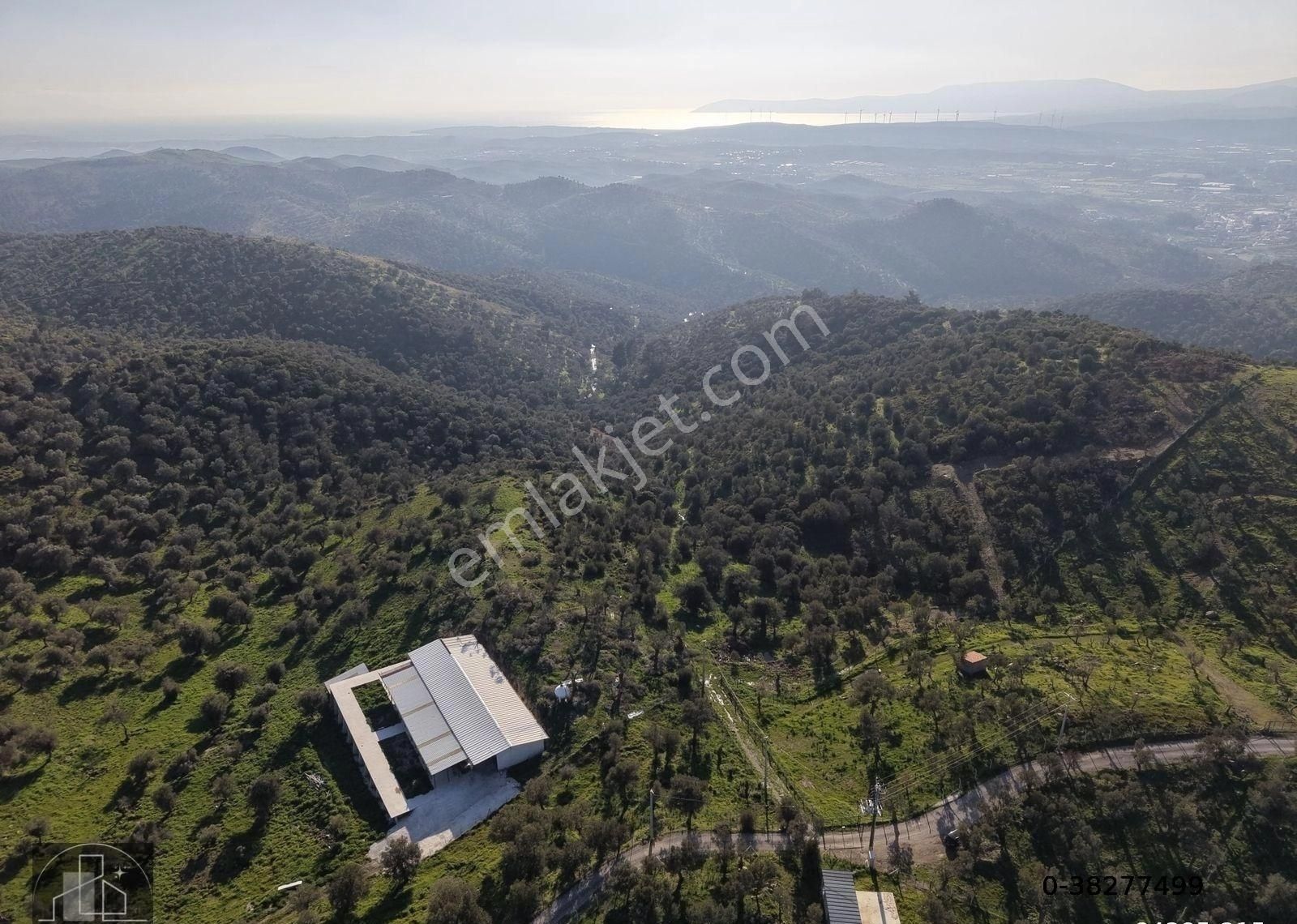 İzmir Seferihisar Ulamış Mahallesinde 19.542m² Satılık Zeytinlik - Görsel 9