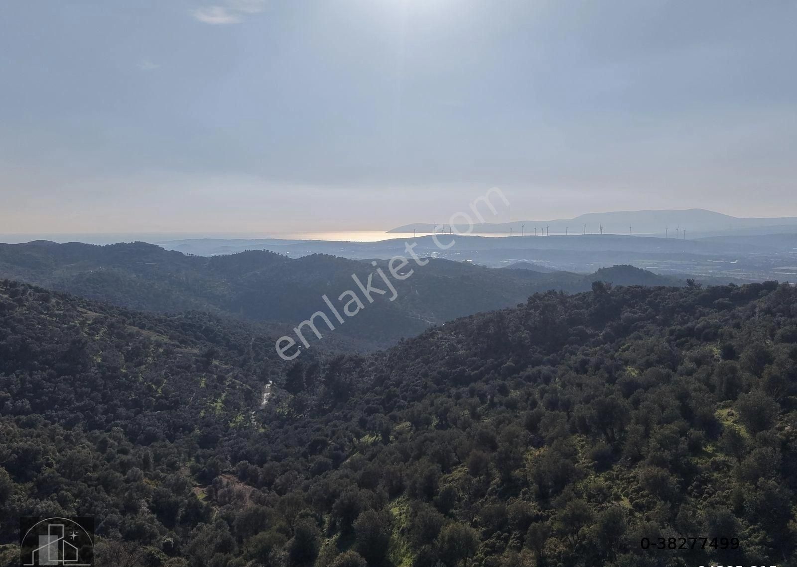 İzmir Seferihisar Ulamış Mahallesinde 19.542m² Satılık Zeytinlik - Görsel 15