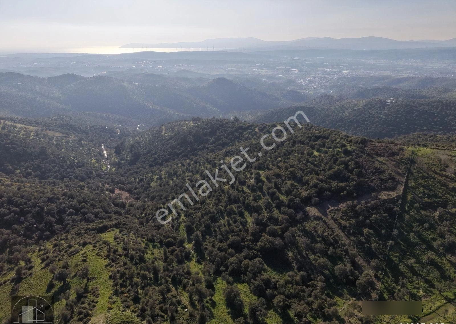 İzmir Seferihisar Ulamış Mahallesinde 19.542m² Satılık Zeytinlik - Görsel 6