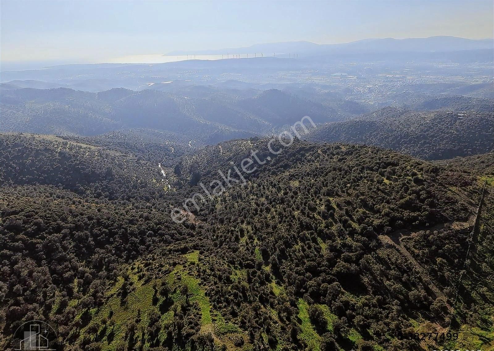 İzmir Seferihisar Ulamış Mahallesinde 19.542m² Satılık Zeytinlik - Görsel 10