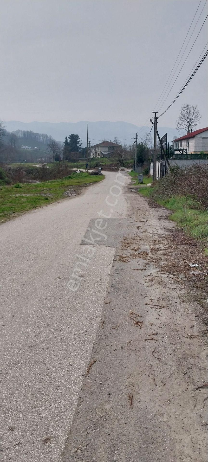 Yaşam Emlak Tan Satılık Bağ Bahçe - Görsel 24