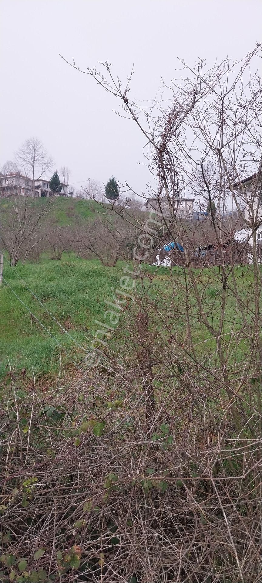 Yaşam Emlak Tan Satılık Bağ Bahçe - Görsel 23
