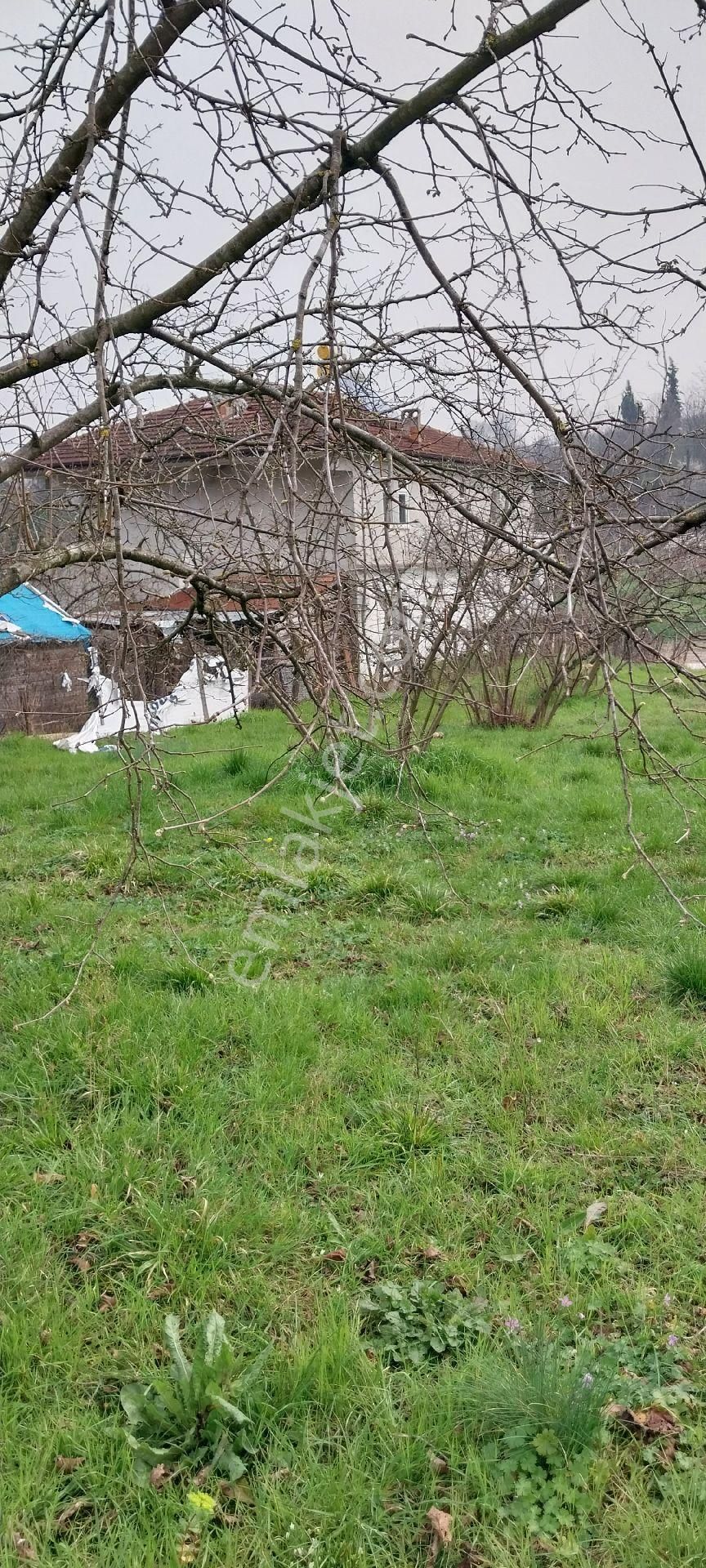 Yaşam Emlak Tan Satılık Bağ Bahçe - Görsel 2