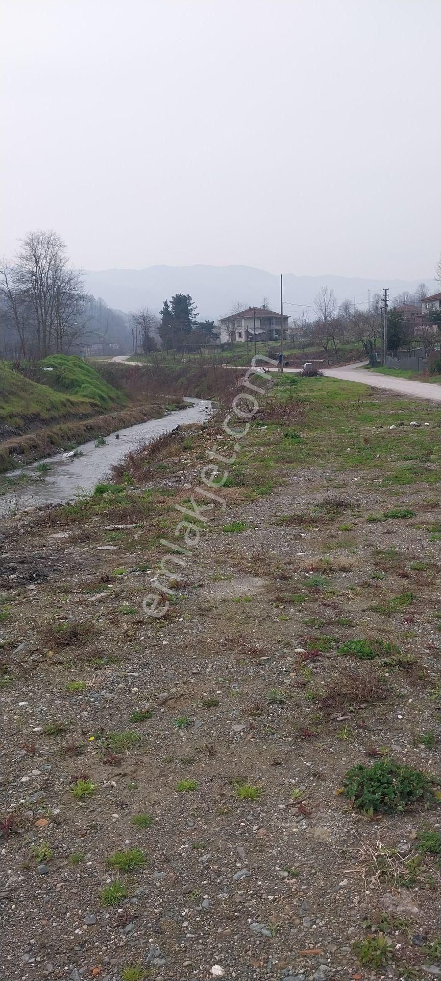 Yaşam Emlak Tan Satılık Bağ Bahçe - Görsel 19
