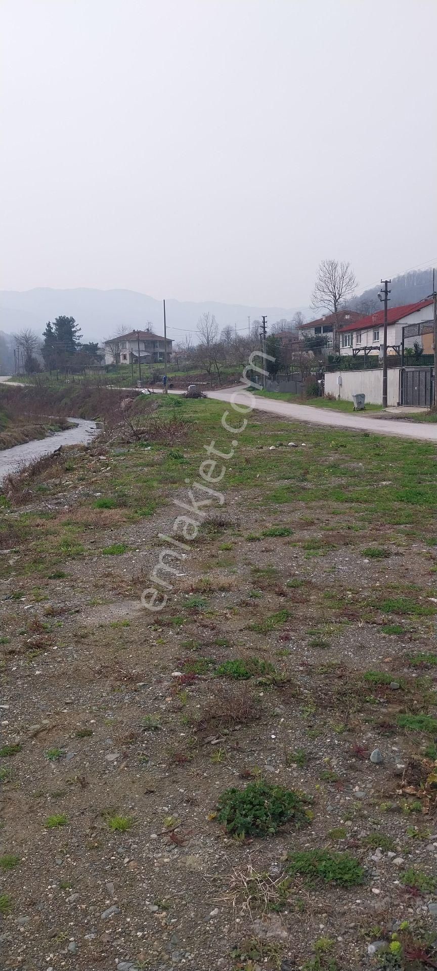 Yaşam Emlak Tan Satılık Bağ Bahçe - Görsel 18