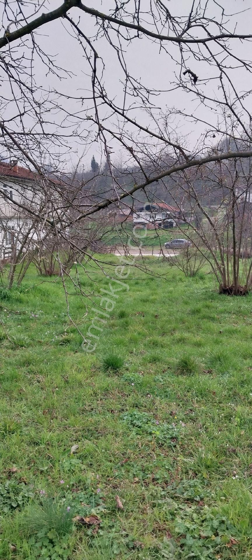 Yaşam Emlak Tan Satılık Bağ Bahçe - Görsel 4