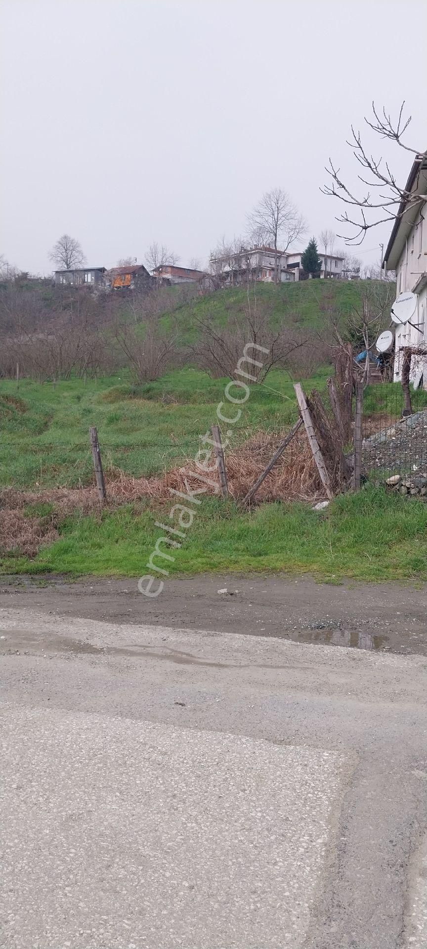 Yaşam Emlak Tan Satılık Bağ Bahçe - Görsel 17