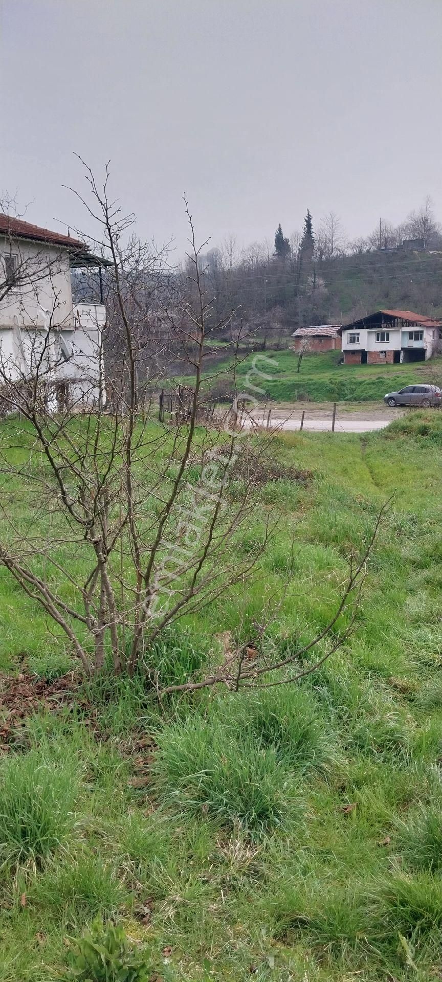 Yaşam Emlak Tan Satılık Bağ Bahçe - Görsel 5