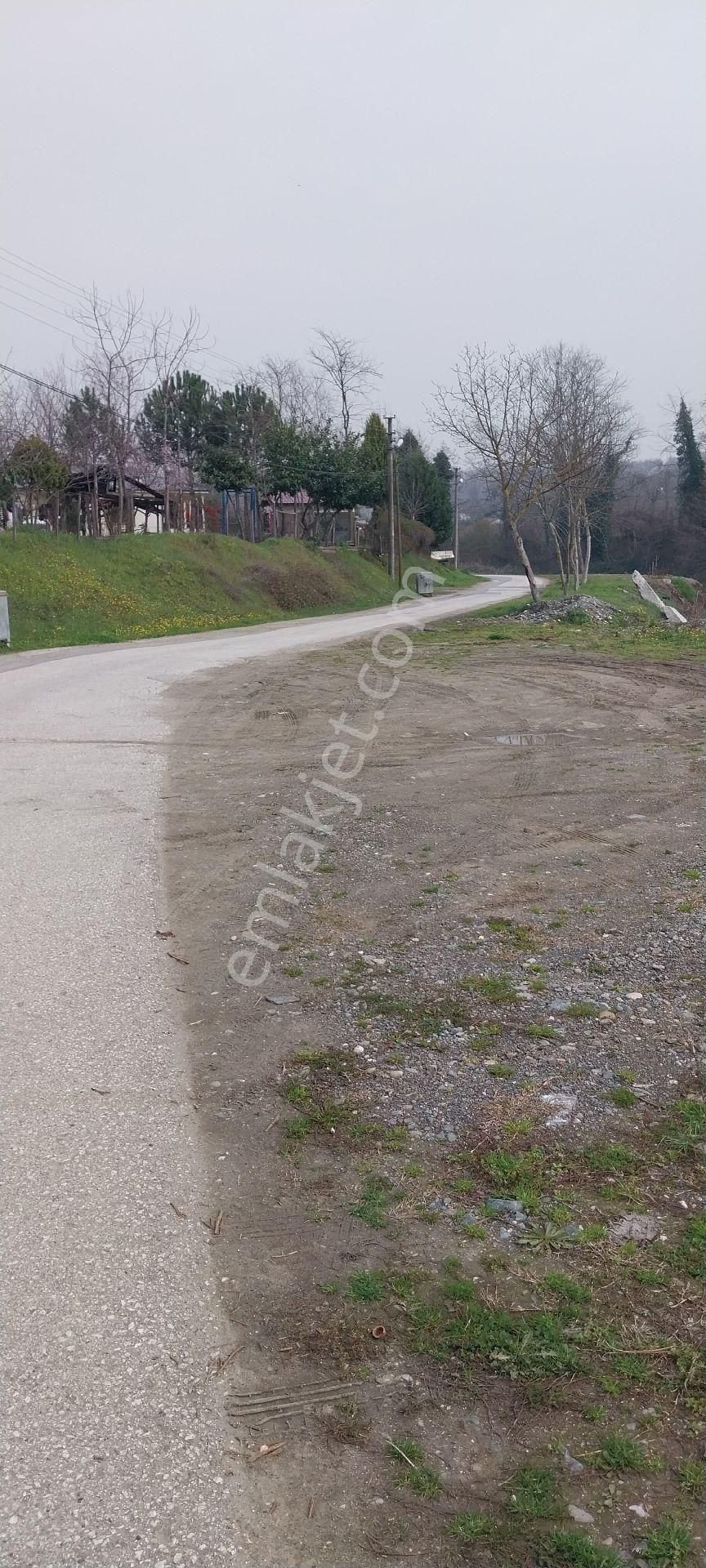 Yaşam Emlak Tan Satılık Bağ Bahçe - Görsel 22