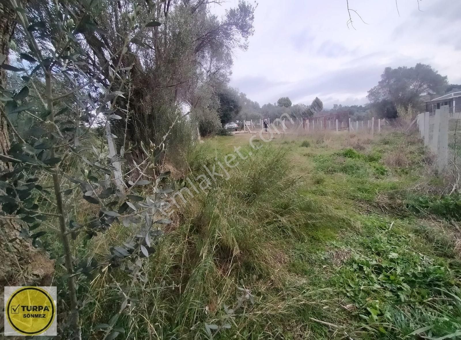 Turpa Sönmezden Demircide Satılık Tapulu Bahçe - Görsel 9