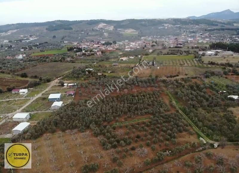 Turpa Sönmezden Demircide Satılık Tapulu Bahçe - Görsel 13