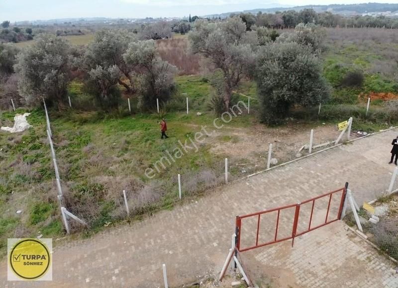 Turpa Sönmezden Demircide Satılık Tapulu Bahçe - Görsel 3