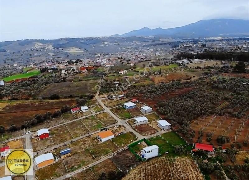 Turpa Sönmezden Demircide Satılık Tapulu Bahçe - Görsel 5