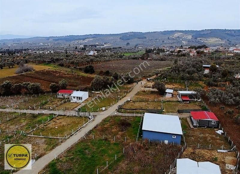 Turpa Sönmezden Demircide Satılık Tapulu Bahçe - Görsel 11