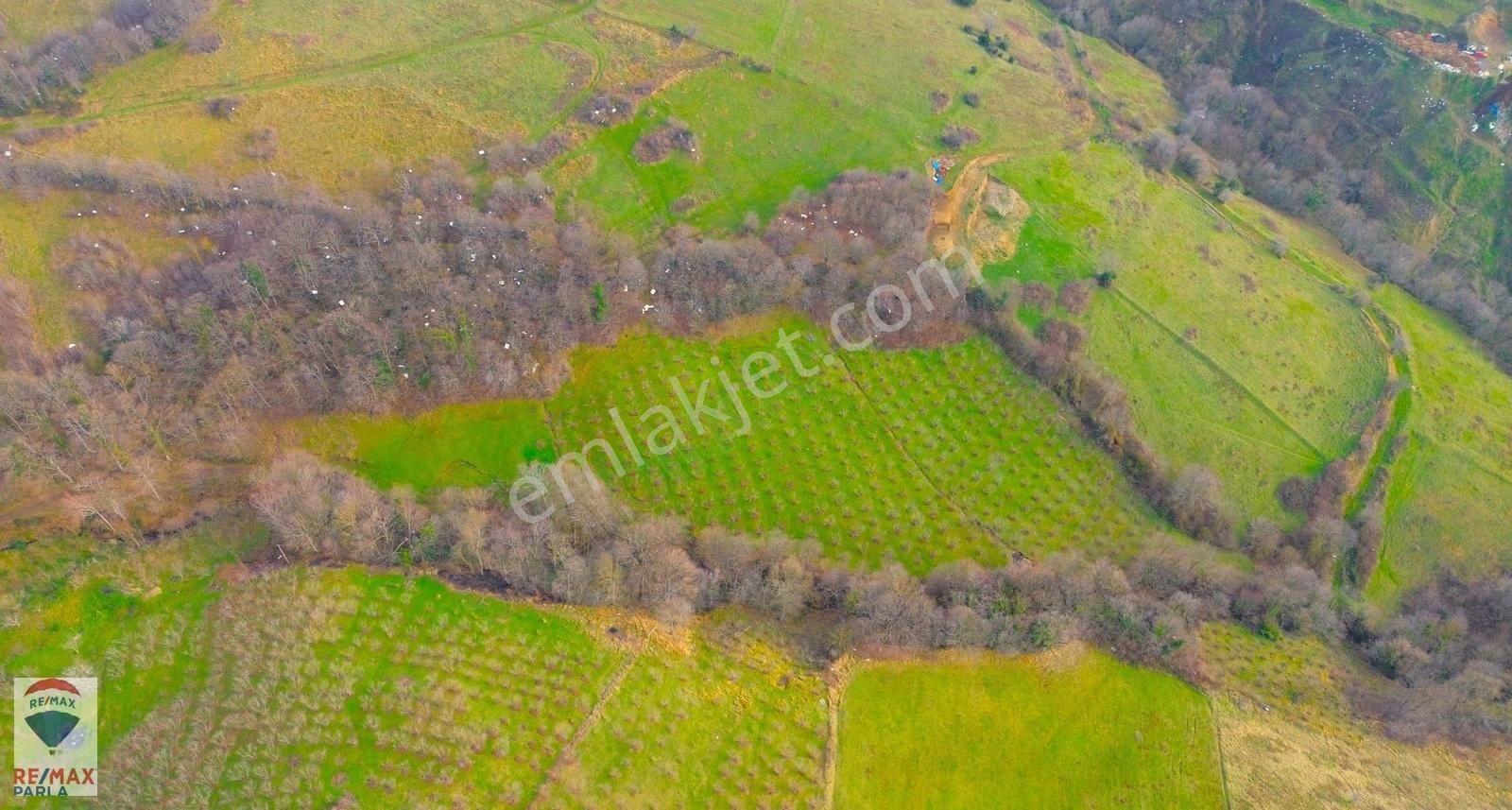 Remax Parla | Kurugökçe'de 11.5 Dönüm Tek Tapulu Fındık Bahçesi! - Görsel 23