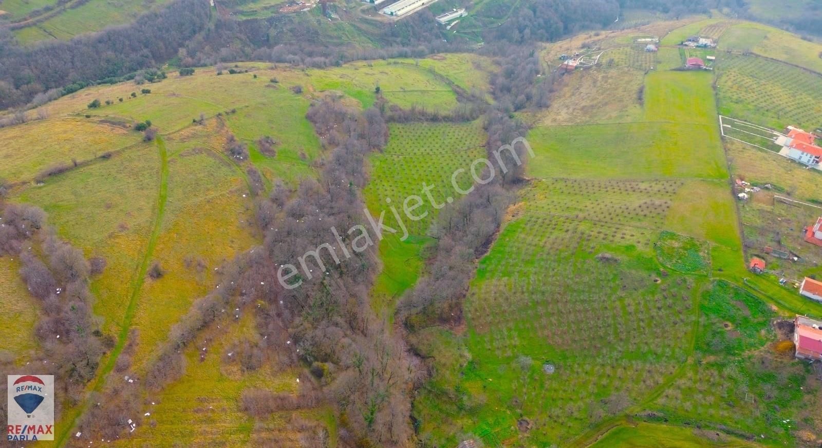 Remax Parla | Kurugökçe'de 11.5 Dönüm Tek Tapulu Fındık Bahçesi! - Görsel 31