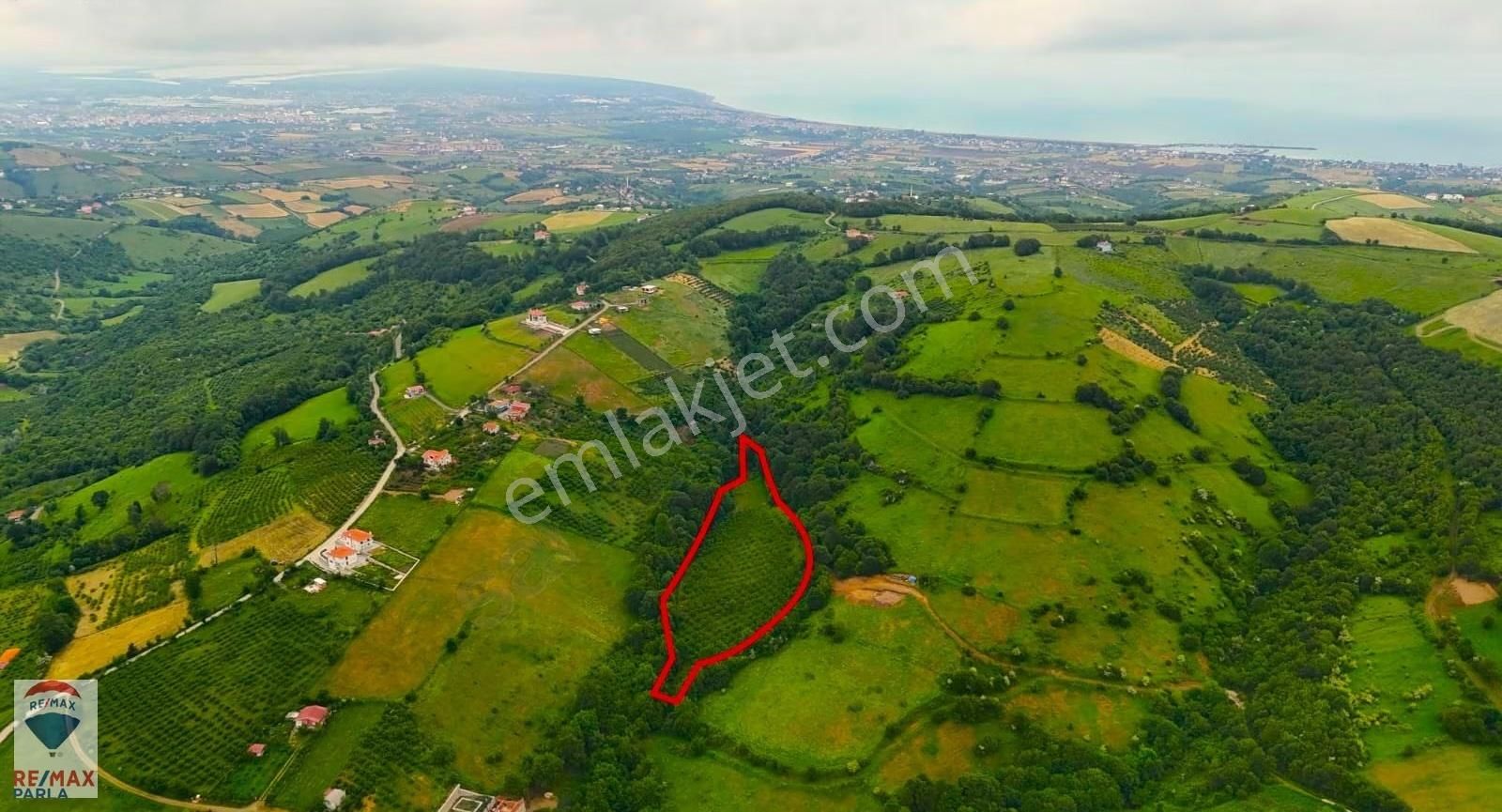 Remax Parla | Kurugökçe'de 11.5 Dönüm Tek Tapulu Fındık Bahçesi! - Görsel 13