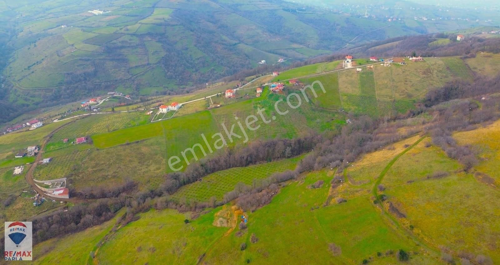 Remax Parla | Kurugökçe'de 11.5 Dönüm Tek Tapulu Fındık Bahçesi! - Görsel 5