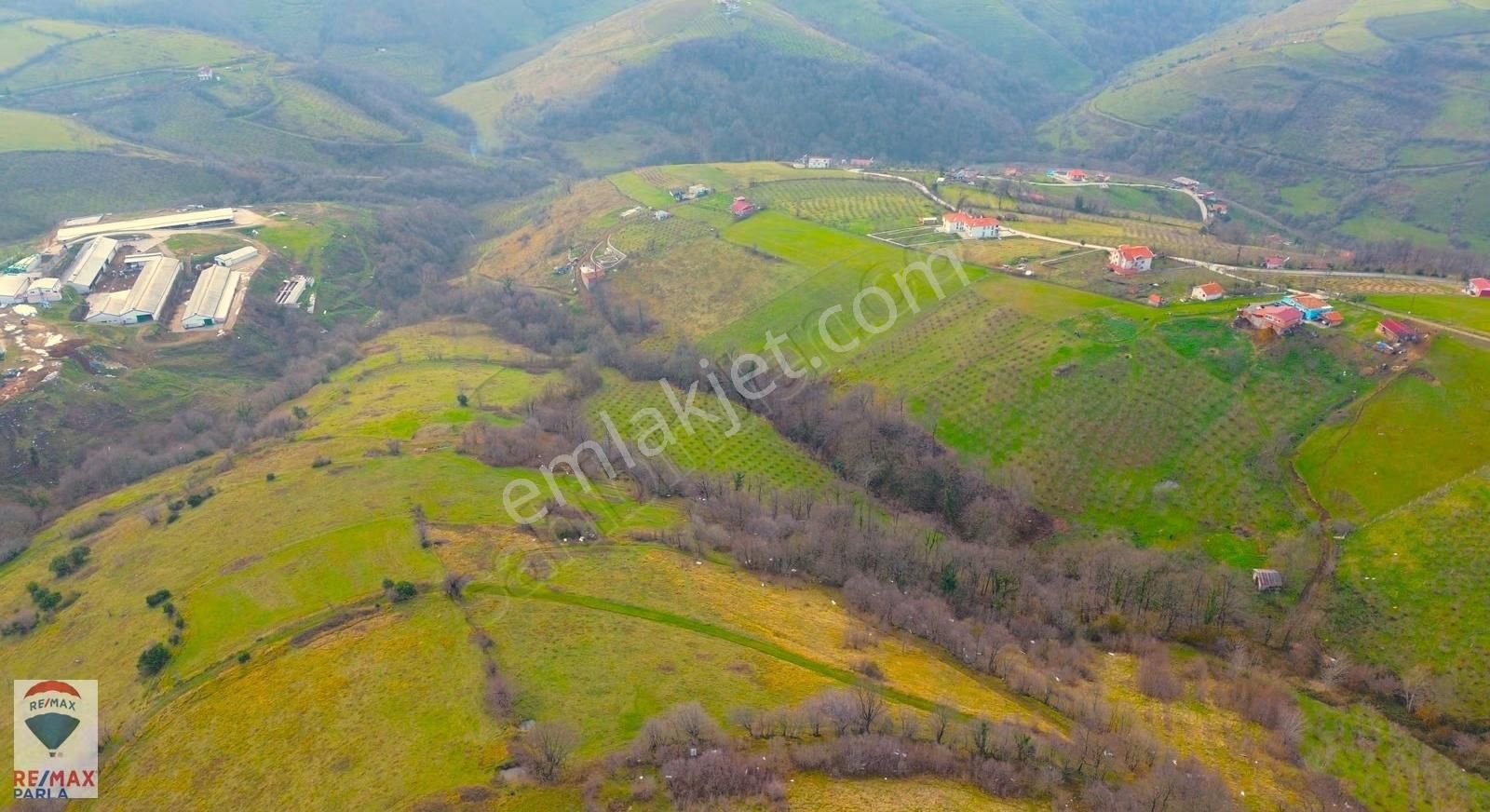 Remax Parla | Kurugökçe'de 11.5 Dönüm Tek Tapulu Fındık Bahçesi! - Görsel 30