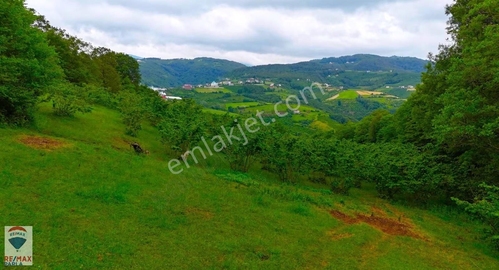 Remax Parla | Kurugökçe'de 11.5 Dönüm Tek Tapulu Fındık Bahçesi! - Görsel 6