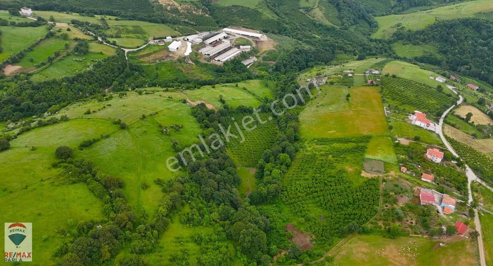 Remax Parla | Kurugökçe'de 11.5 Dönüm Tek Tapulu Fındık Bahçesi! - Görsel 8