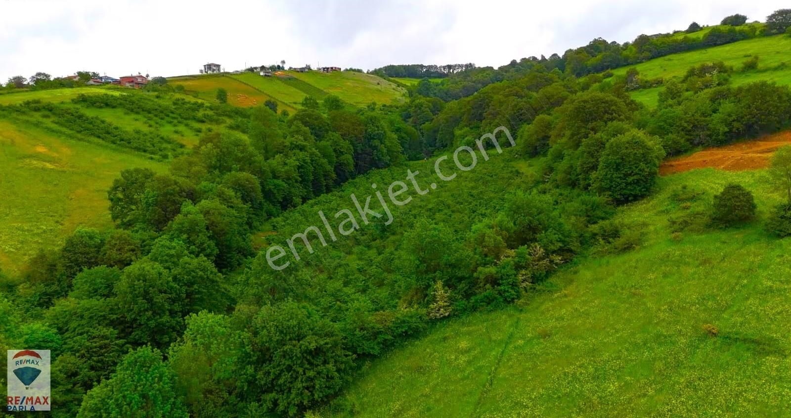 Remax Parla | Kurugökçe'de 11.5 Dönüm Tek Tapulu Fındık Bahçesi! - Görsel 20