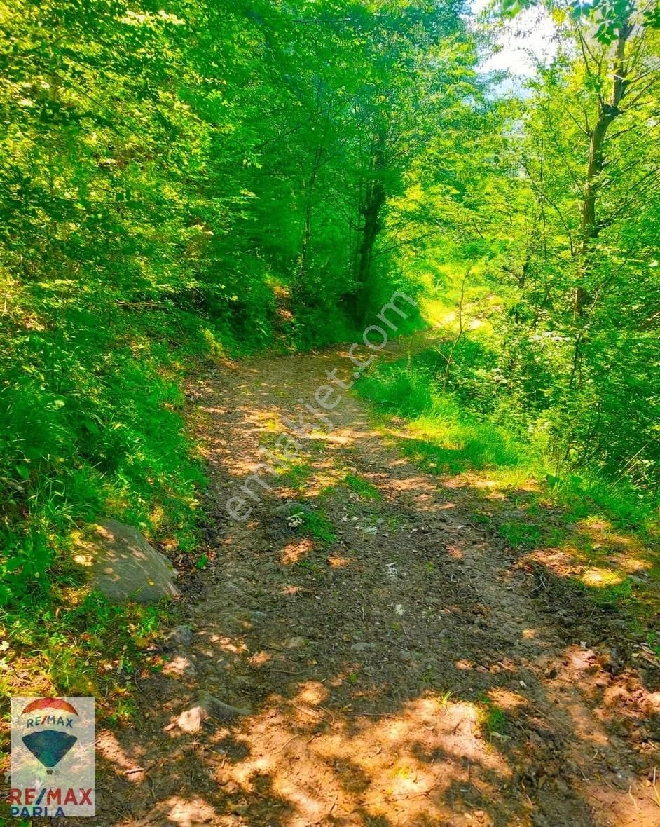 Remax Parla | Kurugökçe'de 11.5 Dönüm Tek Tapulu Fındık Bahçesi! - Görsel 19