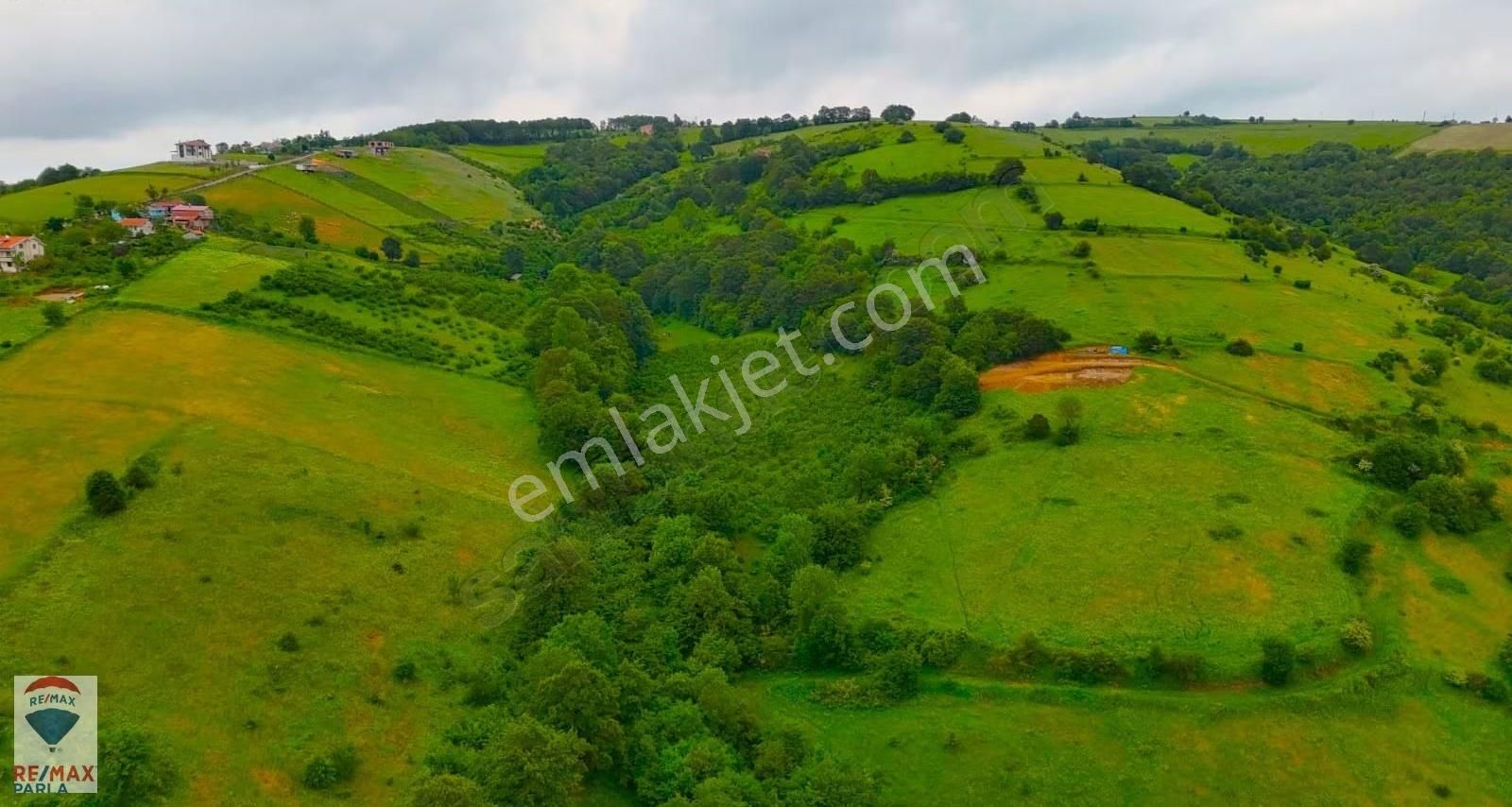 Remax Parla | Kurugökçe'de 11.5 Dönüm Tek Tapulu Fındık Bahçesi! - Görsel 21