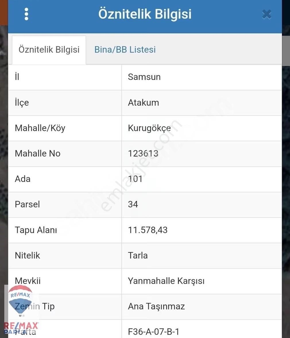 Remax Parla | Kurugökçe'de 11.5 Dönüm Tek Tapulu Fındık Bahçesi! - Görsel 24