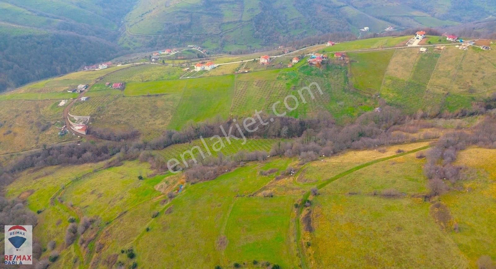 Remax Parla | Kurugökçe'de 11.5 Dönüm Tek Tapulu Fındık Bahçesi! - Görsel 3