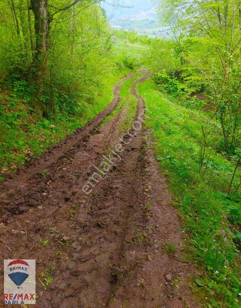 Remax Parla | Kurugökçe'de 11.5 Dönüm Tek Tapulu Fındık Bahçesi! - Görsel 12