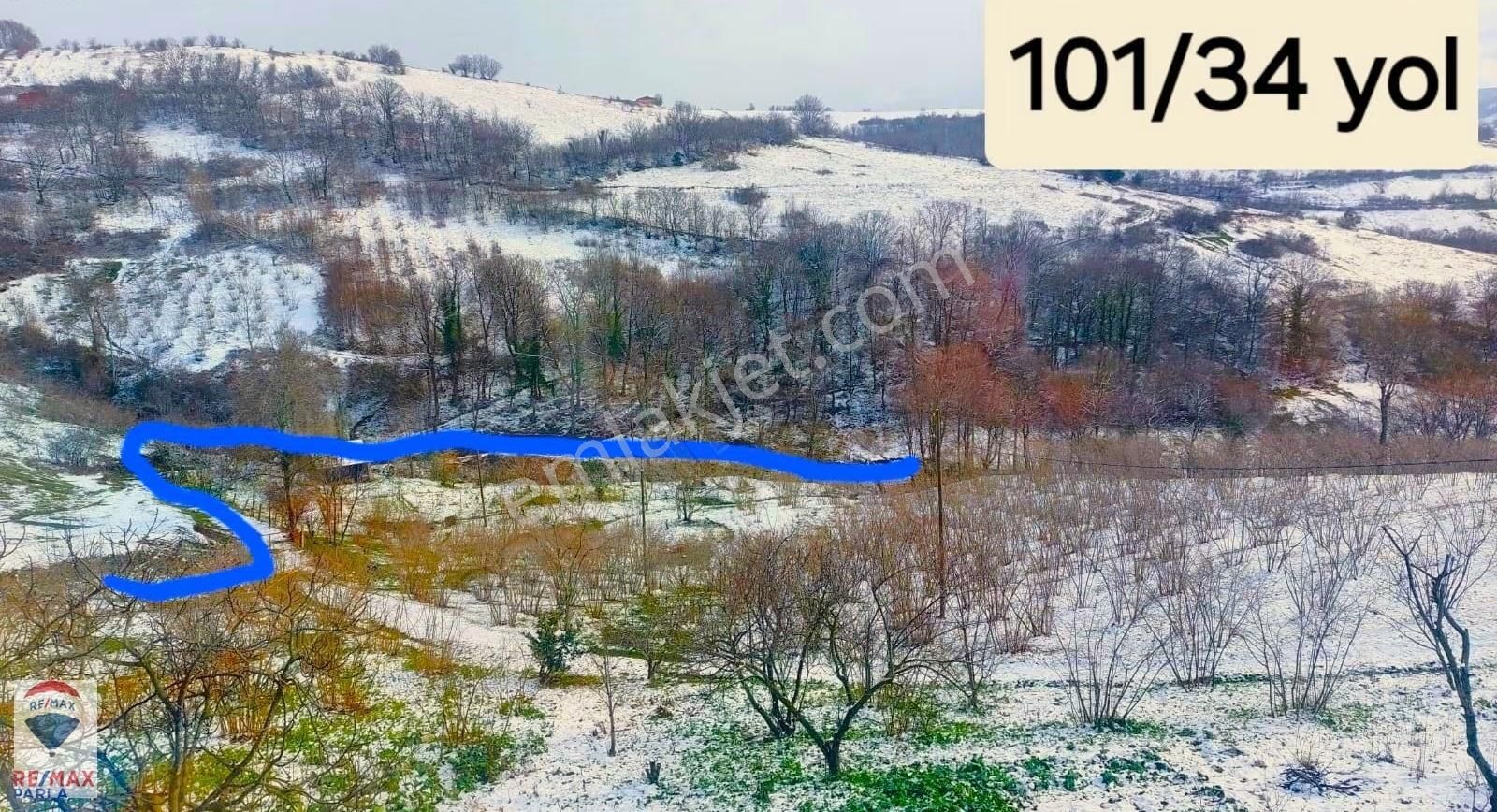 Remax Parla | Kurugökçe'de 11.5 Dönüm Tek Tapulu Fındık Bahçesi! - Görsel 18