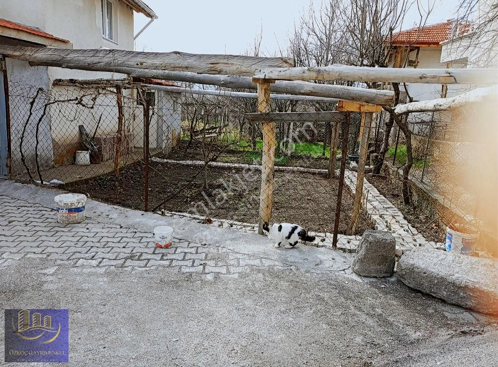 Ankara Ayaş Yağmurdede Mustakil İki Katlı Ev Ve Arsası - Görsel 3