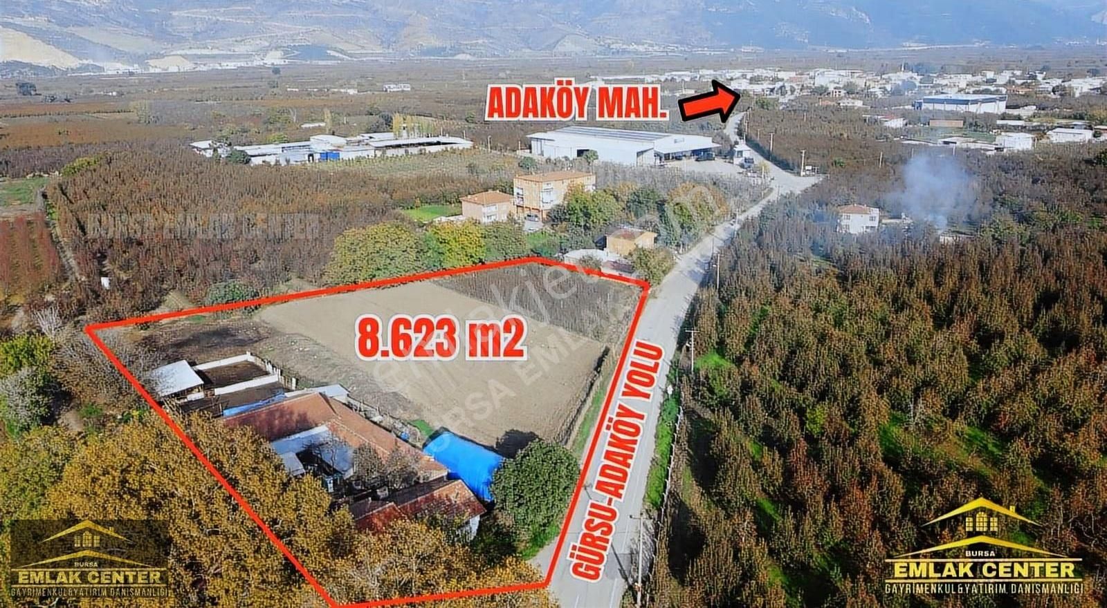 Gürsu Da Satılık Çiftlik Ve Arazisi - Görsel 6