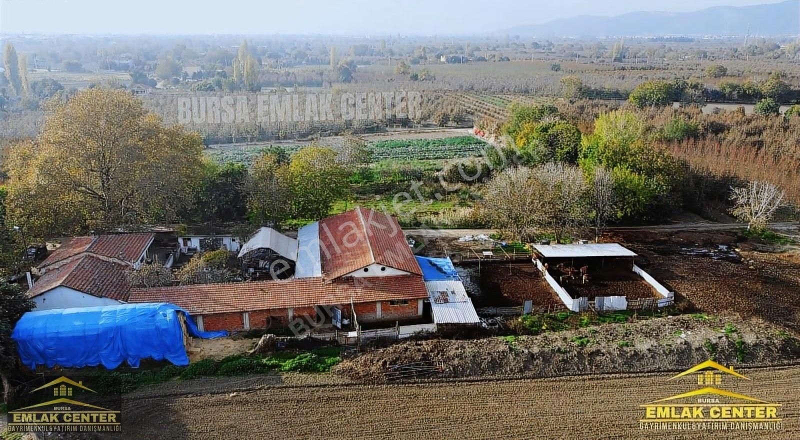 Gürsu Da Satılık Çiftlik Ve Arazisi - Görsel 10