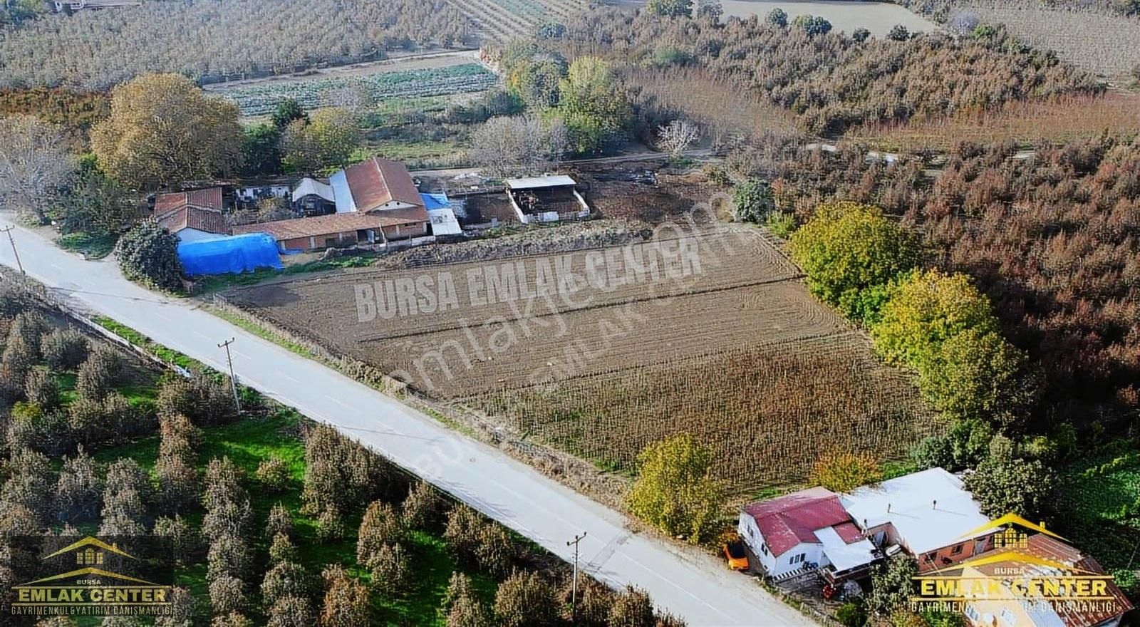 Gürsu Da Satılık Çiftlik Ve Arazisi - Görsel 9