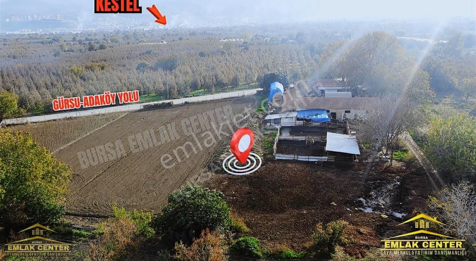 Gürsu Da Satılık Çiftlik Ve Arazisi - Görsel 8