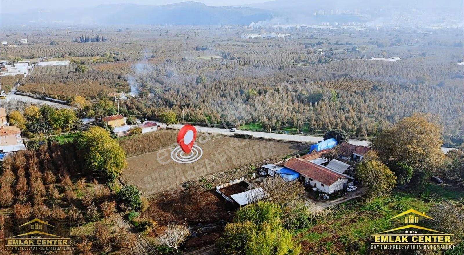 Gürsu Da Satılık Çiftlik Ve Arazisi - Görsel 5