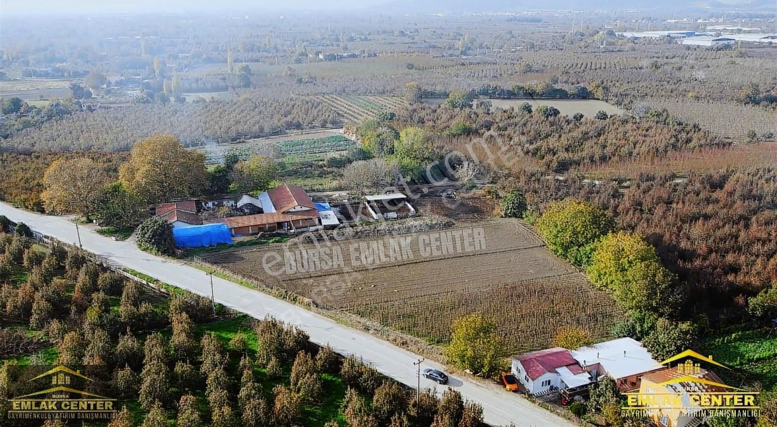 Gürsu Da Satılık Çiftlik Ve Arazisi - Görsel 7