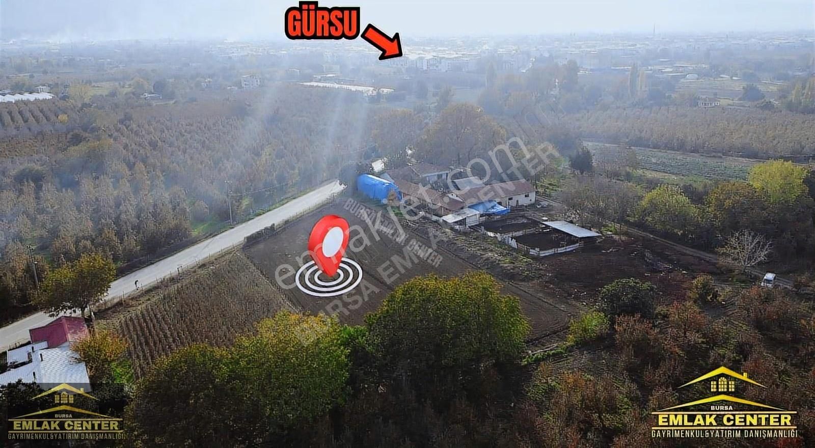 Gürsu Da Satılık Çiftlik Ve Arazisi - Görsel 4