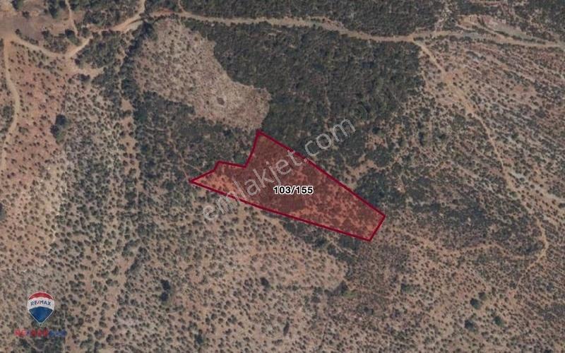 32 Muğla Milas Gürçamlar'da 14688 M2 Satılık Tarla - Görsel 3