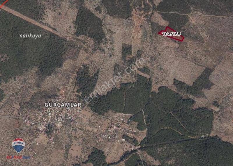 32 Muğla Milas Gürçamlar'da 14688 M2 Satılık Tarla - Görsel 6
