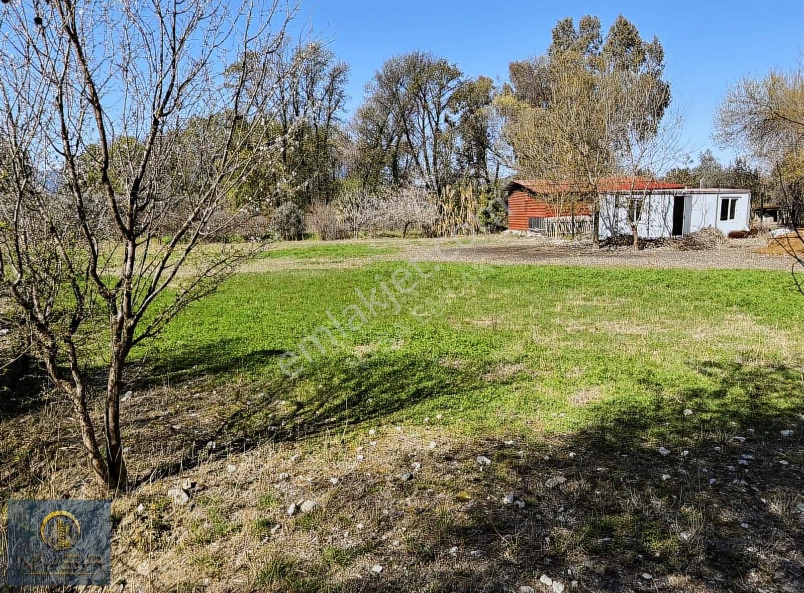Nysa Emlak'tan Satılık 2.063 M2 Şahsi Tapu Tarla - Görsel 5