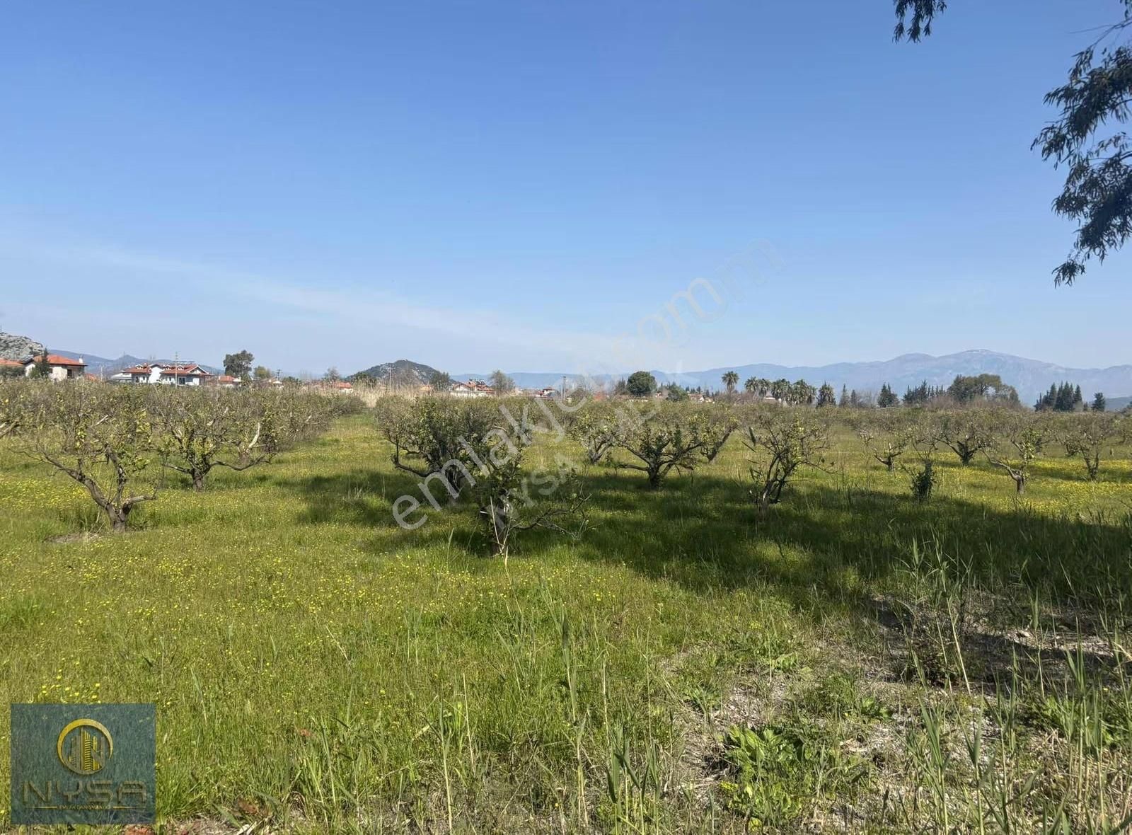 Nysa Emlak'tan Satılık 5.100 M2 Şahsi Tapu Tarla