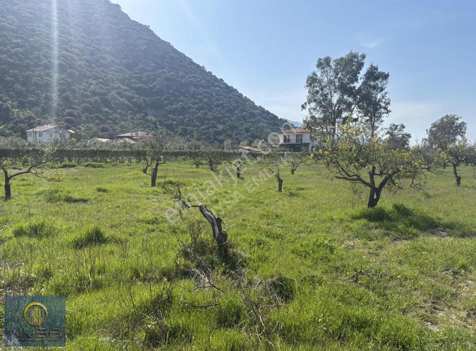 Nysa Emlak'tan Satılık 5.100 M2 Şahsi Tapu Tarla - Görsel 14